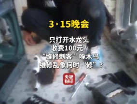 视频|央视315曝光维修刺客啄木鸟：家庭维修只开个水龙头收费100元 平台投诉量超过6000条