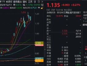 又是超200亿，南向资金坚定加码！港股互联网ETF（513770）近10日吸金超7亿元