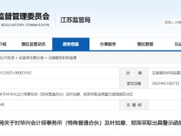 事涉琏升科技审计违规 华兴会计师事务所及相关责任人被出具警示函