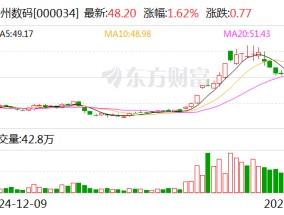 神州数码：公司预计将于2025年3月29日披露2024年年报