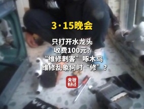 315晚会曝光维修刺客啄木鸟：啄木鸟家庭维修只开个水龙头收费100元