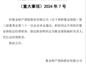 再迎政府背景总经理！保险业深度转型当下 紫金财险酝酿“逆袭”