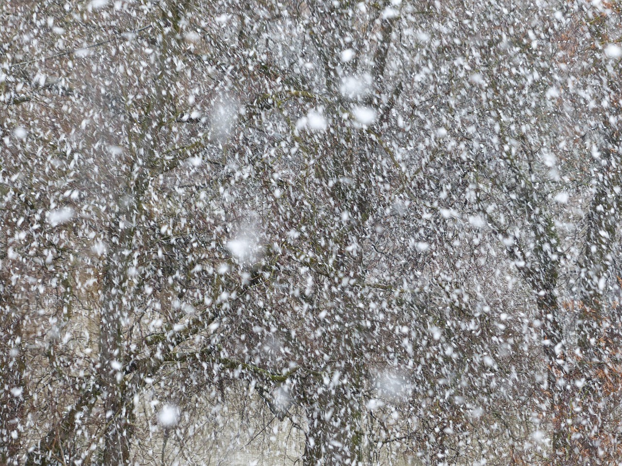 山东滨州遭遇罕见大暴雪，23毫米雪量刷新记录